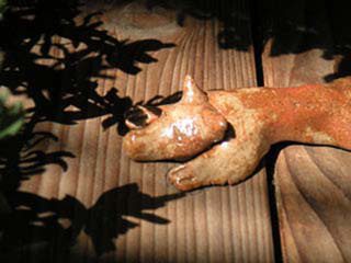 犬