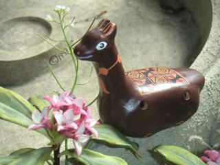 沈丁花