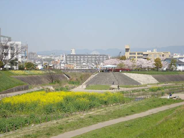 大正川