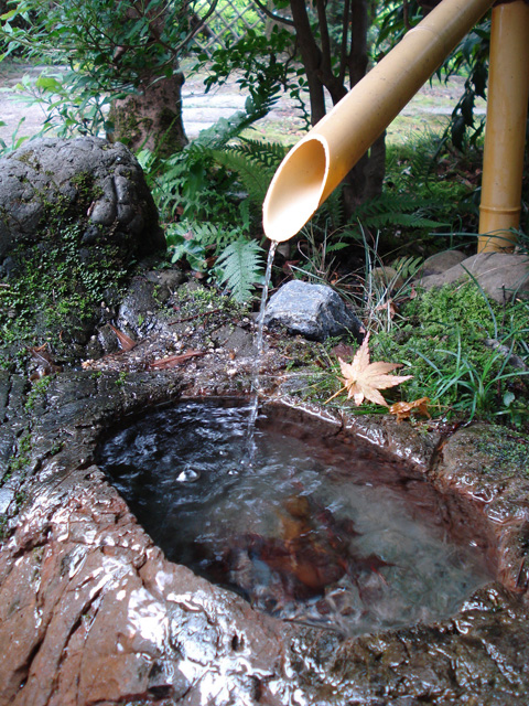 水