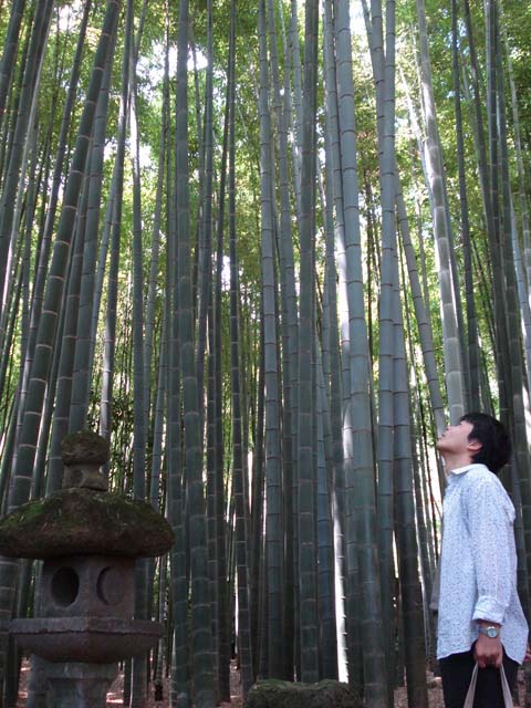 �񍑎�