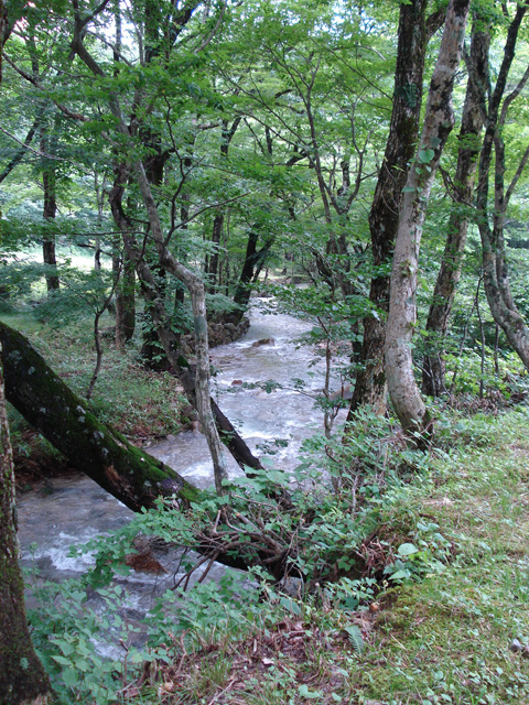 自然公園