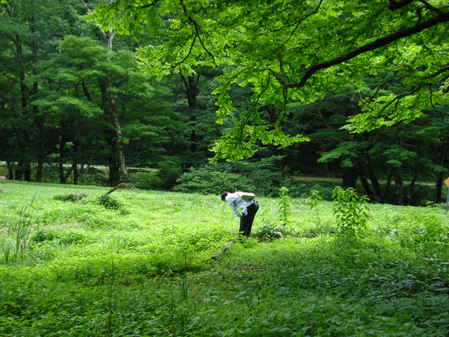 自然公園