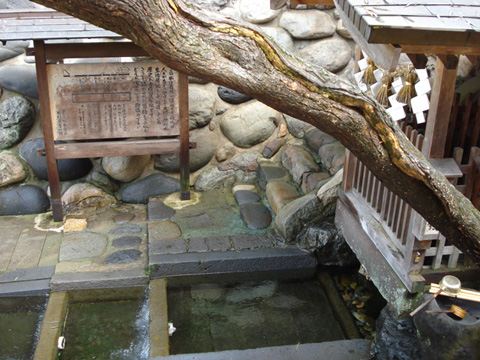 宗祇水