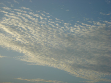 羊雲