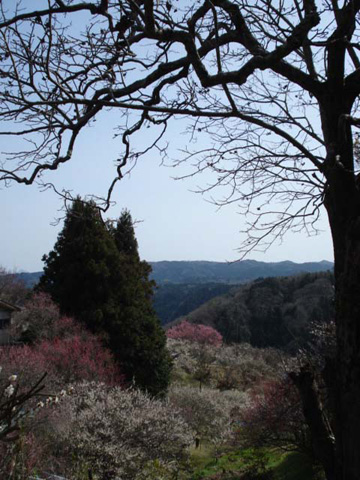 山間