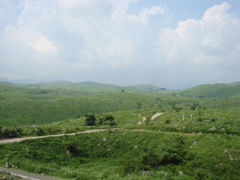 秋吉台1