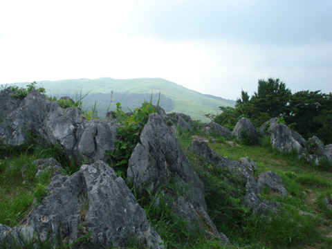 秋吉台2