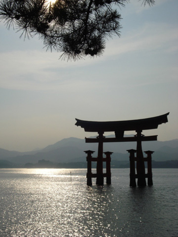 午後の鳥居