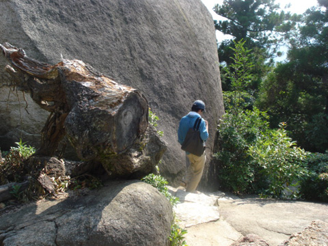 弥山15