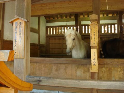 こんぴらさん6