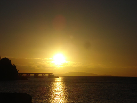 徳島1